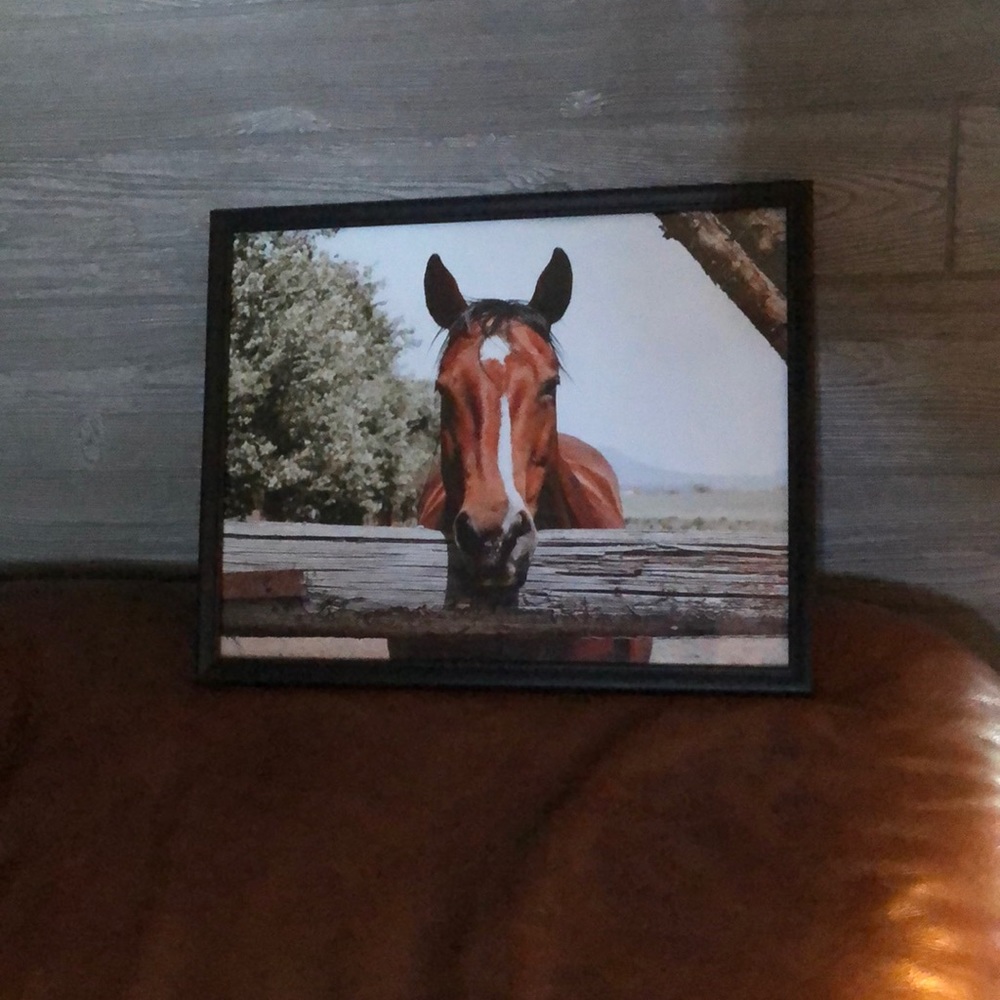 Horse Poster portrait